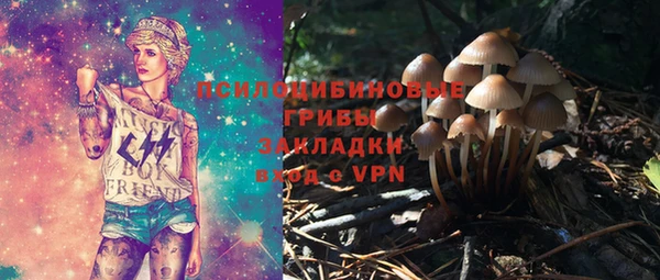 PSILOCYBIN Белоозёрский